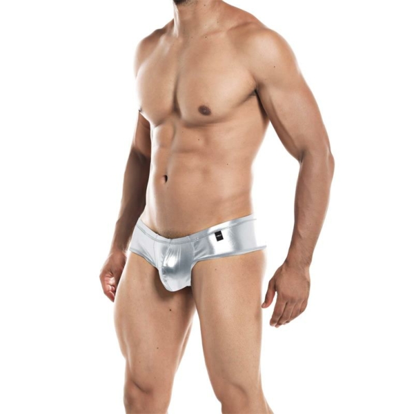 Cheeky Brief Provocative Skai Silver