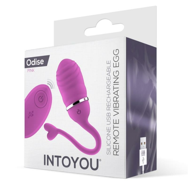 Vibrating Egg with Remote Control Odise USB Silicone Pink - immagine 2